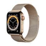 Apple Watch Series 6 Acero Inoxidable 40 mm GPS + Cellular Oro/Loop Oro