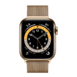 Apple Watch Series 6 Acero Inoxidable 40 mm GPS + Cellular Oro/Loop Oro
