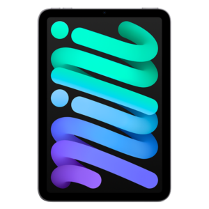 Apple iPad Mini 2021 8.3 256GB Wi-Fi + Gris Espacial